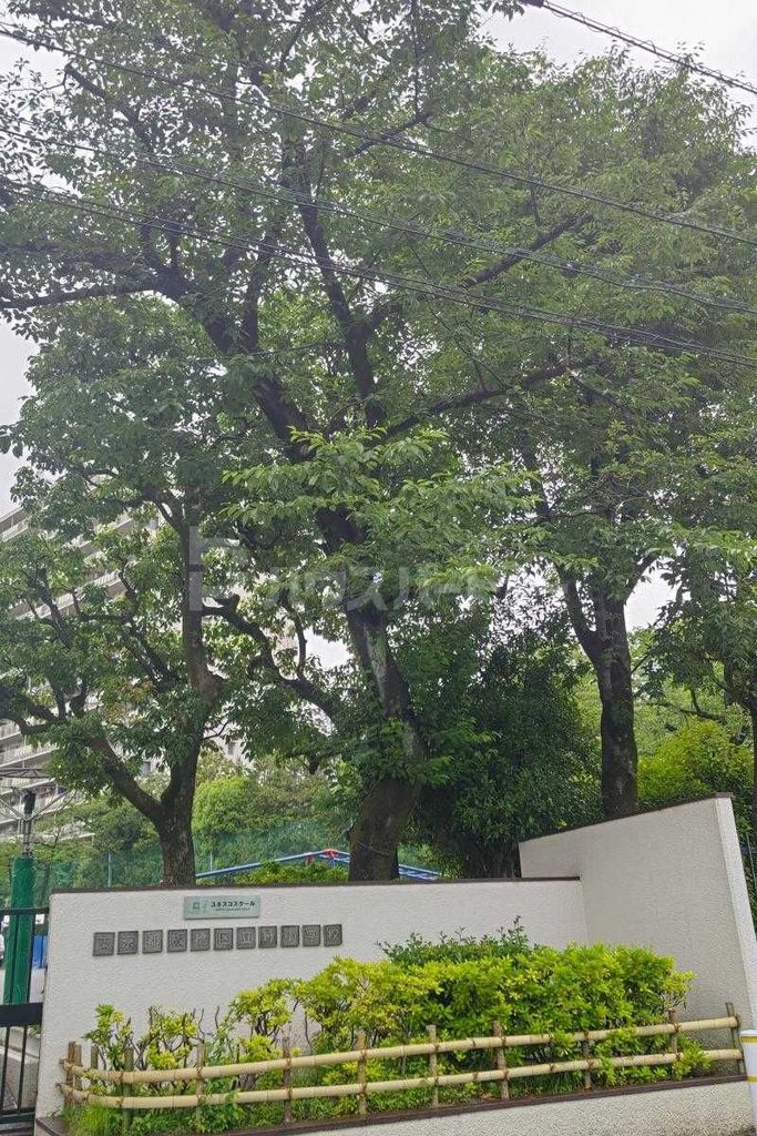 小学校　板橋区立緑小学校（小学校）まで300m