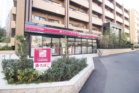 コンビニ　ナチュラルローソン南麻布二丁目店（コンビニ）まで305m