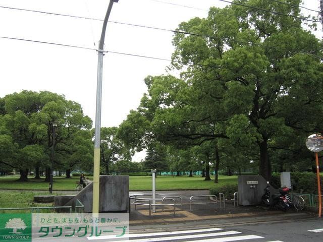 公園　篠崎公園（公園）まで57m