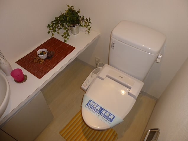 京王線 西調布駅 徒歩9分 4階建 築19年のトイレ写真