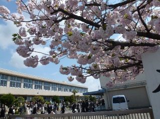 【浜松市中央区入野町のアパートの小学校】