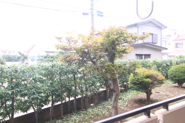 眺望　バルコニーからの景色