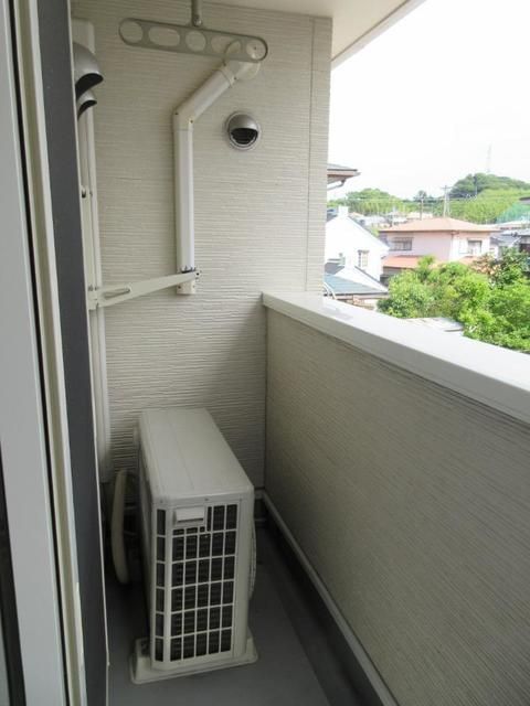 プリムローズ桜_その他_2