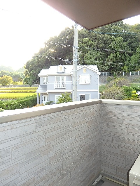 サンフラワー_その他_2