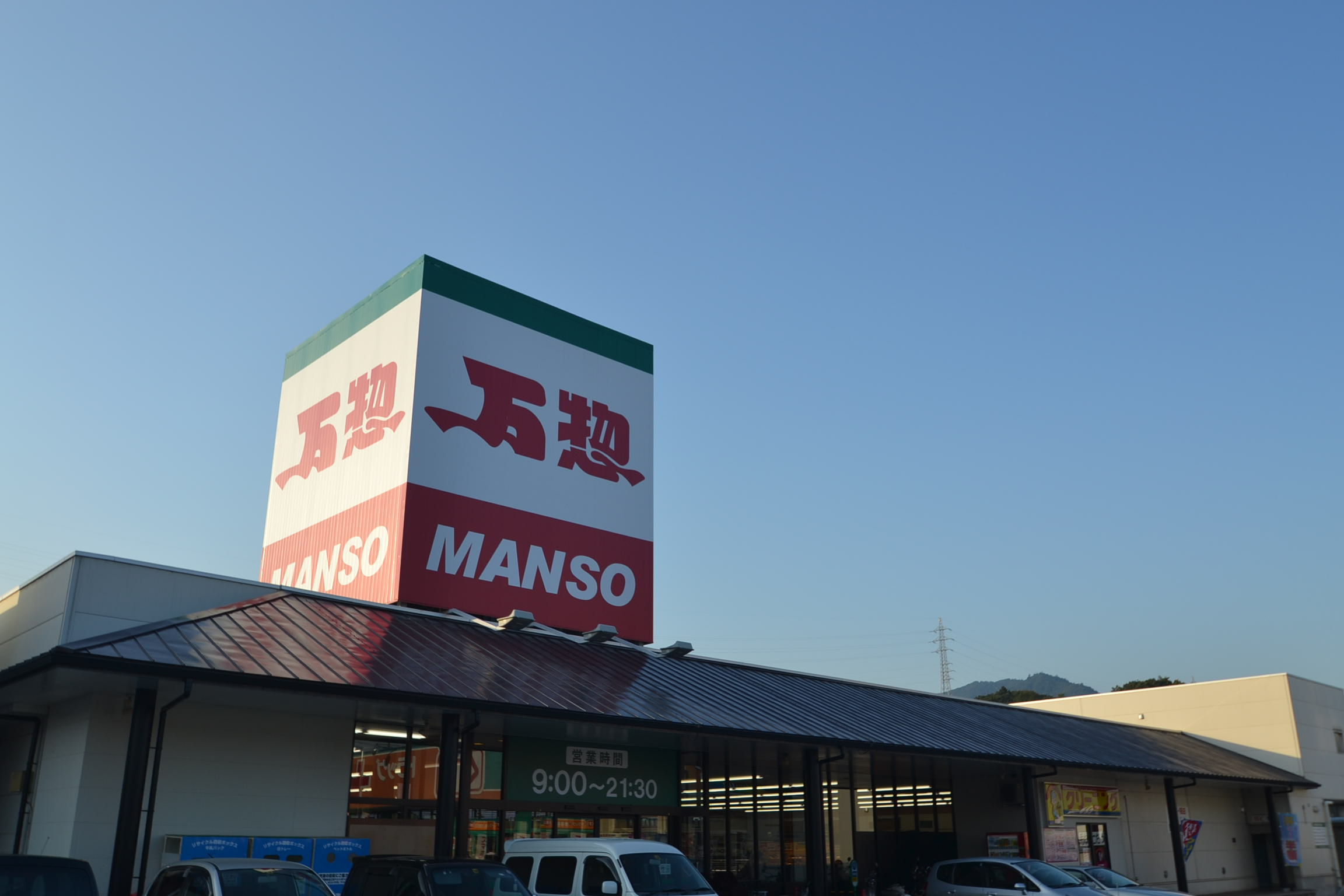 サンフラワー_その他_8