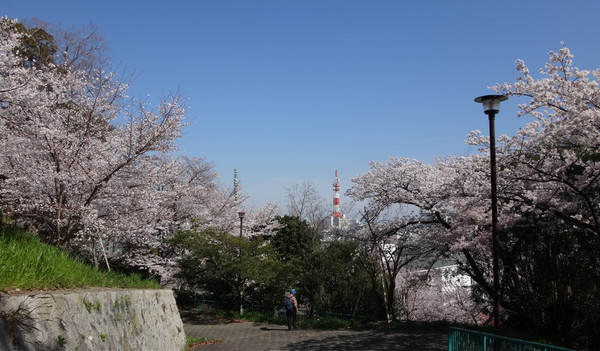 【神戸市長田区重池町のマンションの公園】