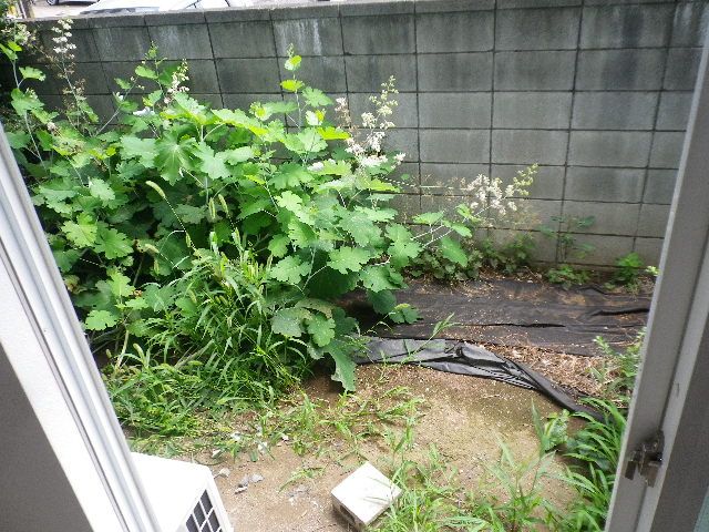 庭