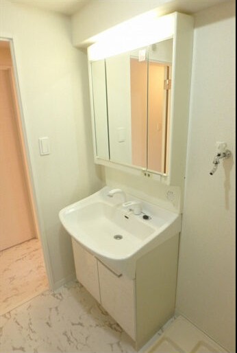 洗面設備　反転タイプの別のお部屋になります