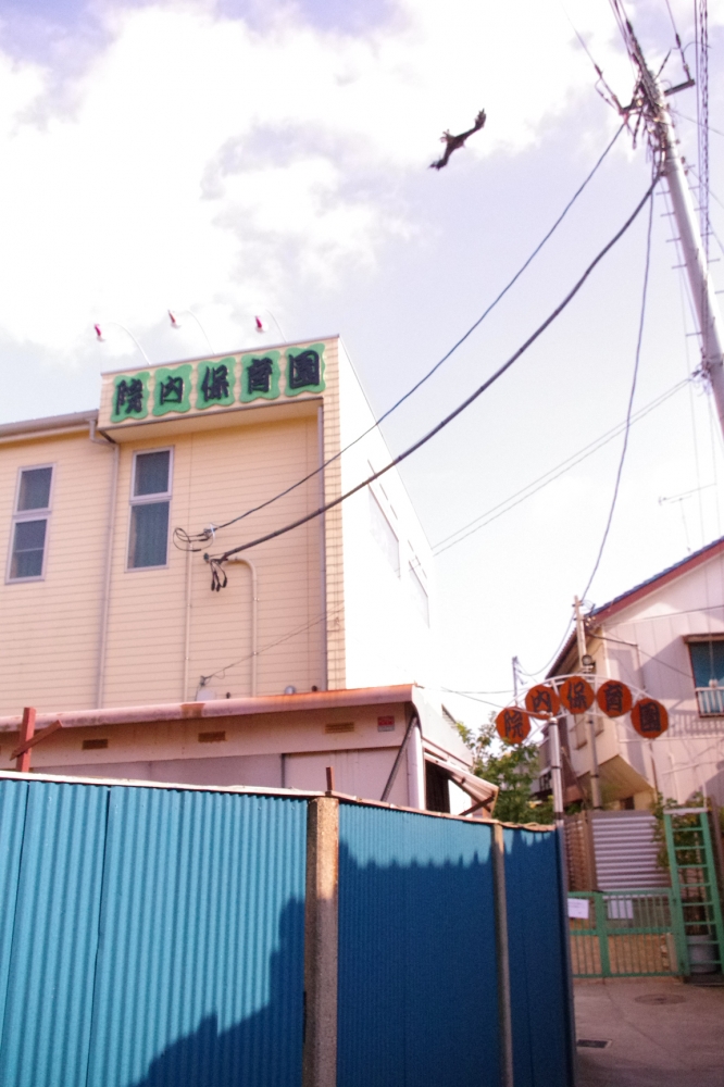 【シティマンションウィングの幼稚園・保育園】