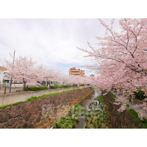 【名古屋市瑞穂区松月町のマンションの役所】