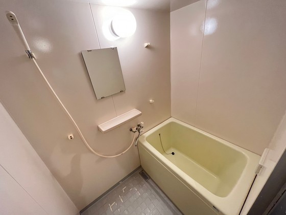 バス・シャワールーム　※別部屋の写真です