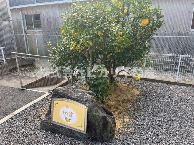 庭