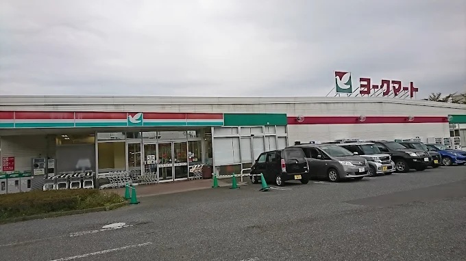 スーパー　ヨークフーズ西大竹店（スーパー）まで821m