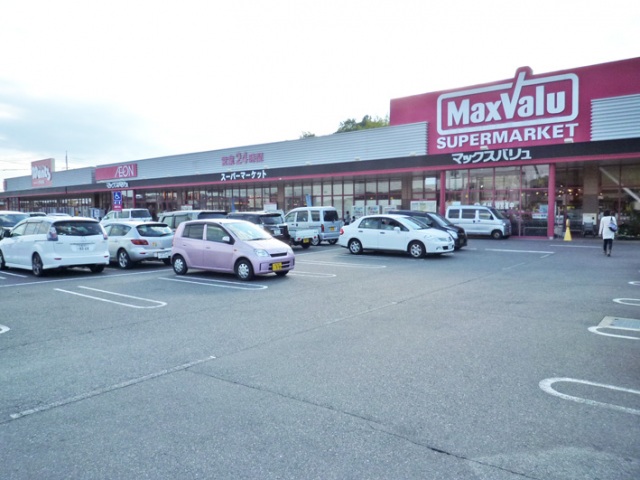 スーパー　マックスバリュ西条西店（スーパー）まで800m