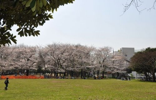 公園　戸越一丁目緑地（公園）まで627m