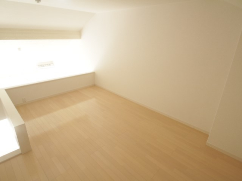 収納　ロフト９帖