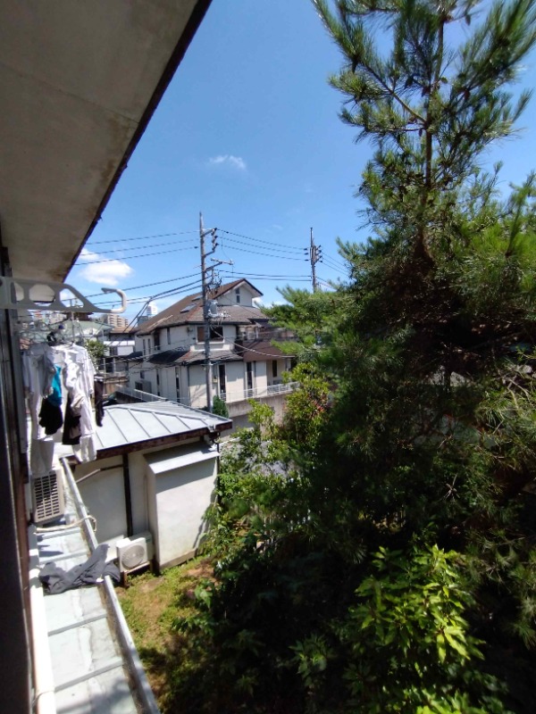 眺望　※他部屋写真参考