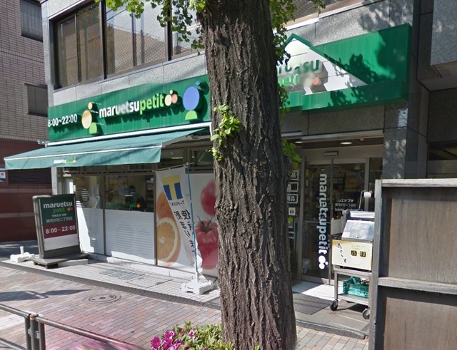 その他　マルエツプチ雑司が谷二丁目店（その他）まで788m