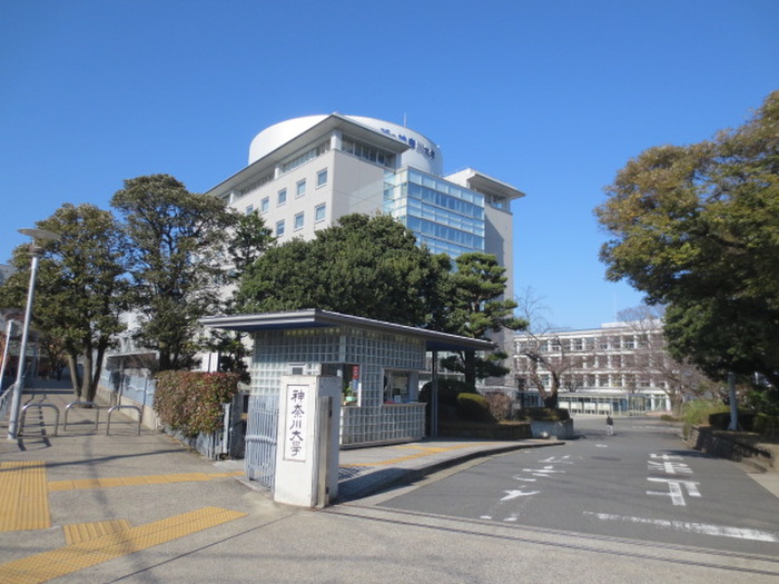 大学・短大　神奈川大学（大学・短大）まで354m