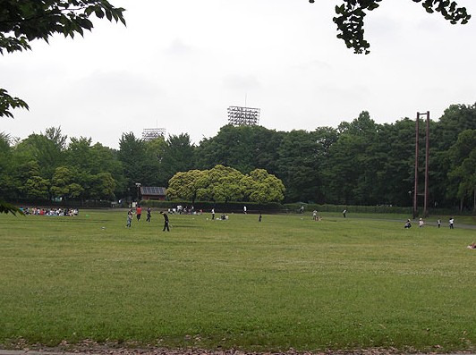 公園　都立城北中央公園（公園）まで1051m