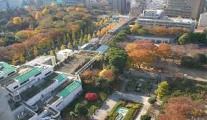 公園　礫川公園（公園）まで524m