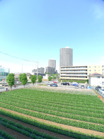 眺望　※他号室の写真です