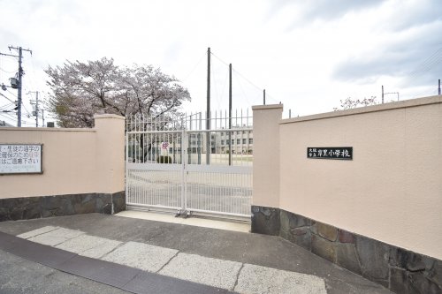 小学校　大阪市立岸里小学校（小学校）まで286m