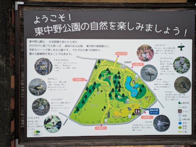 公園　東中野公園（公園）まで741m