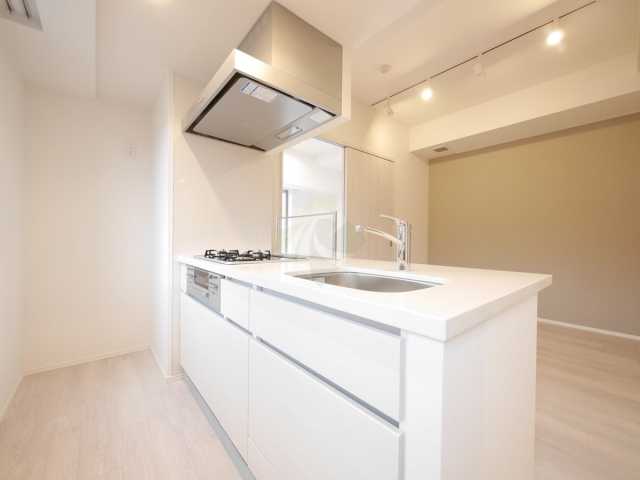 キッチン　ザ・パークハビオ早稲田