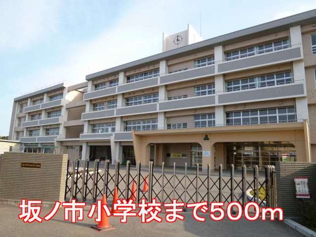 小学校　坂ノ市小学校（小学校）まで500m