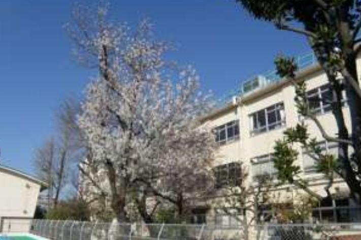 小学校　豊島区立西巣鴨小学校（小学校）まで349m
