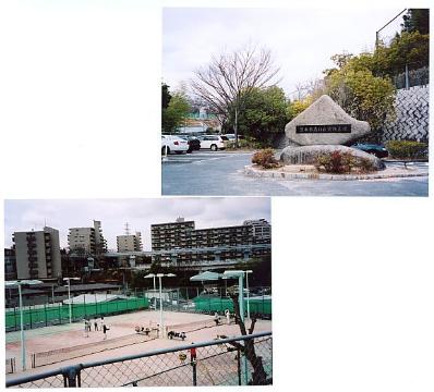 サンライズ春日丘　春日丘運動広場庭球場（その他　243m）