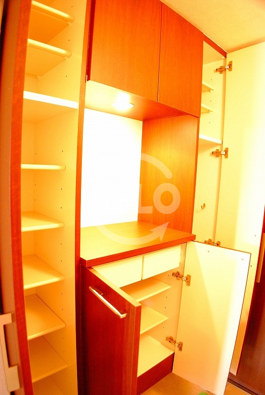 収納　カスタリア阿倍野　シューズボックス