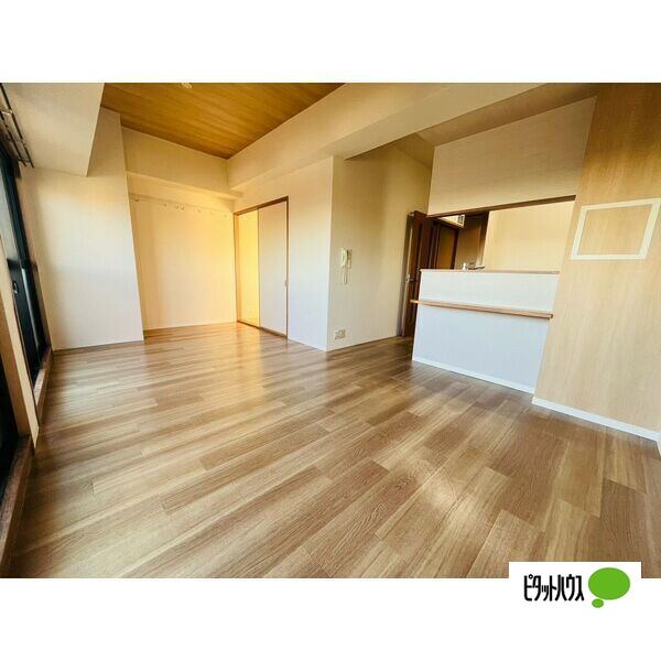 居室・リビング　他号室の写真です。