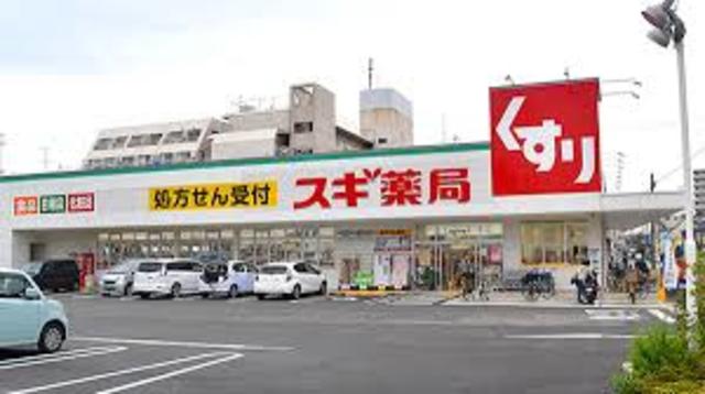ドラックストア　スギ薬局加美中店（ドラッグストア）まで1006m
