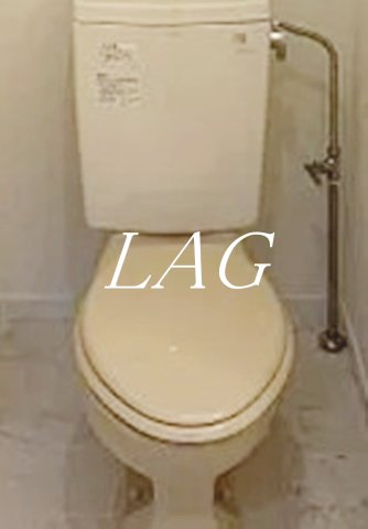 トイレ　トイレです。