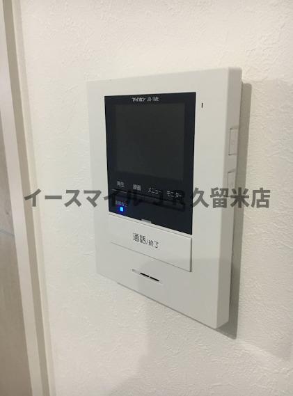 プルメリアのその他写真