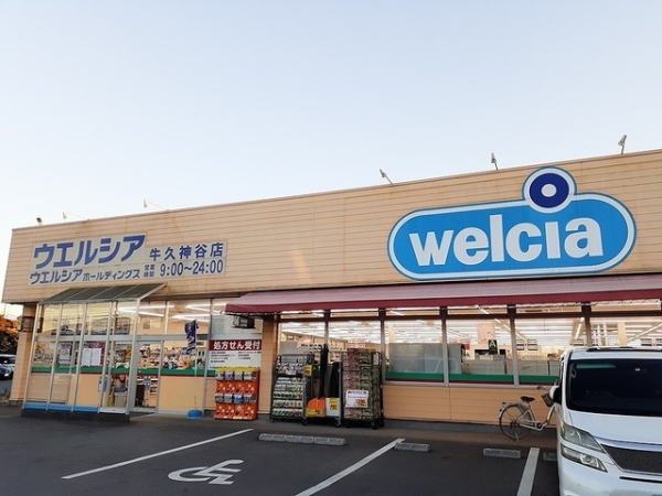 その他　ウェルシア（その他）まで750m