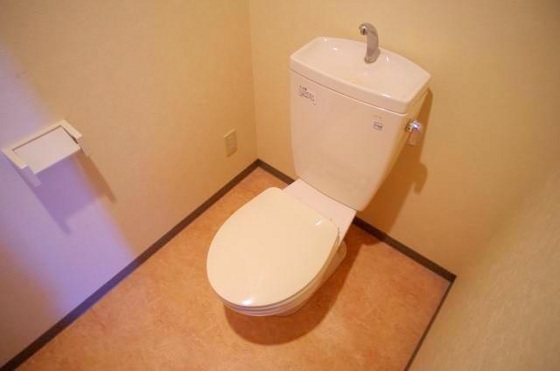 トイレ　※別号室の写真です。