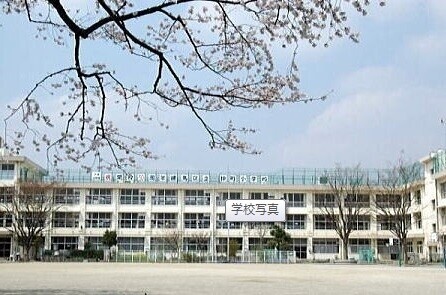 小学校　練馬区立仲町小学校（小学校）まで606m