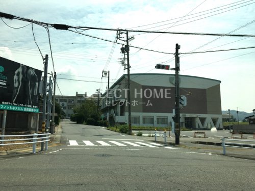 その他　中央公民館（その他）まで507m