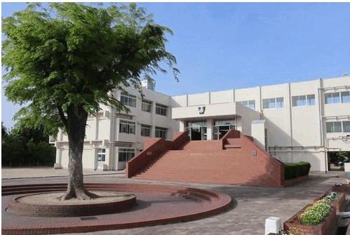 小学校　上地小学校（小学校）まで235m