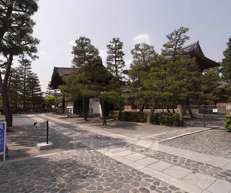 その他　大徳寺（その他）まで214m