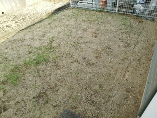 バルコニー　庭