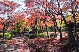 公園　池田山公園（公園）まで343m