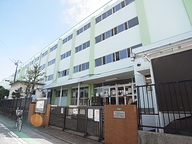 小学校　葛飾区立新宿小学校（小学校）まで238m