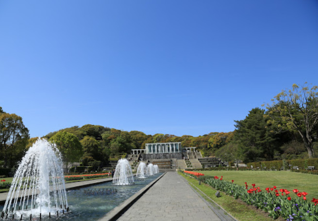 公園　神戸市立須磨離宮公園（公園）まで1137m