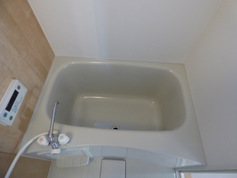 バス・シャワールーム　※写真は他号室です