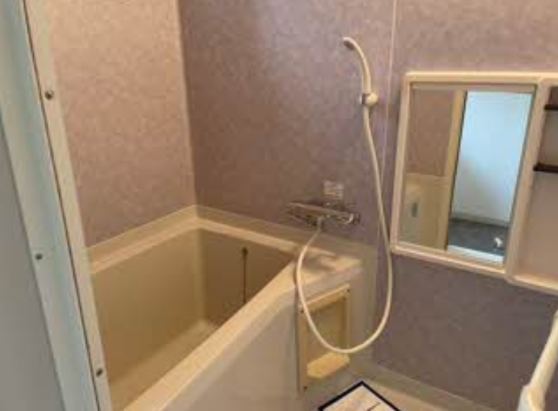 バス・シャワールーム　画像は別号室。ご参考にどうぞ