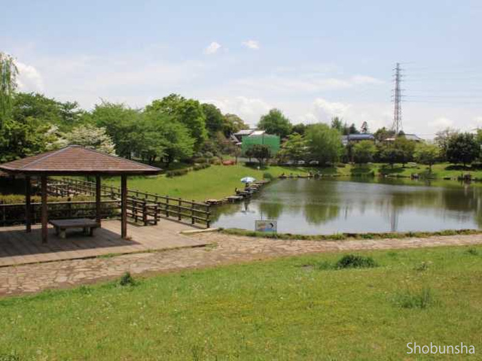 公園　西城沼公園（公園）まで200m